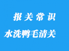 水洗鴨毛進(jìn)口清關(guān)手續(xù)流程與注意事項(xiàng)