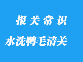 水洗鴨毛進(jìn)口清關(guān)手續(xù)流程與注意事項(xiàng)