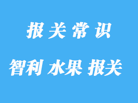 智利水果進(jìn)口報(bào)關(guān)費(fèi)用是怎樣的?